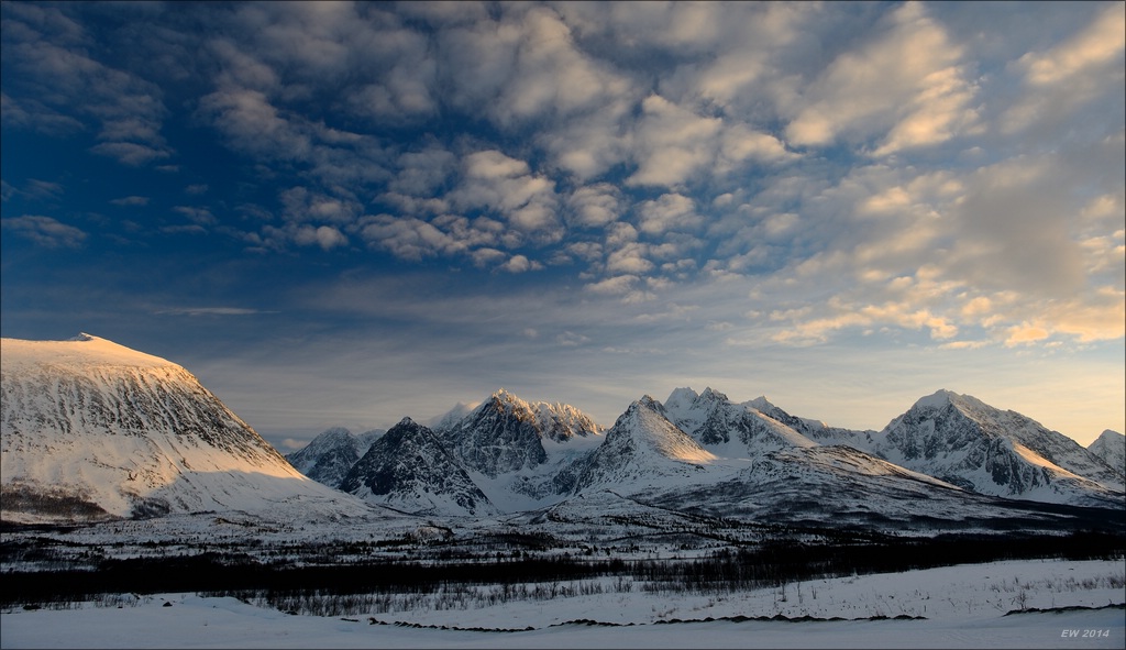 aacomp tromsö 20140211 2905