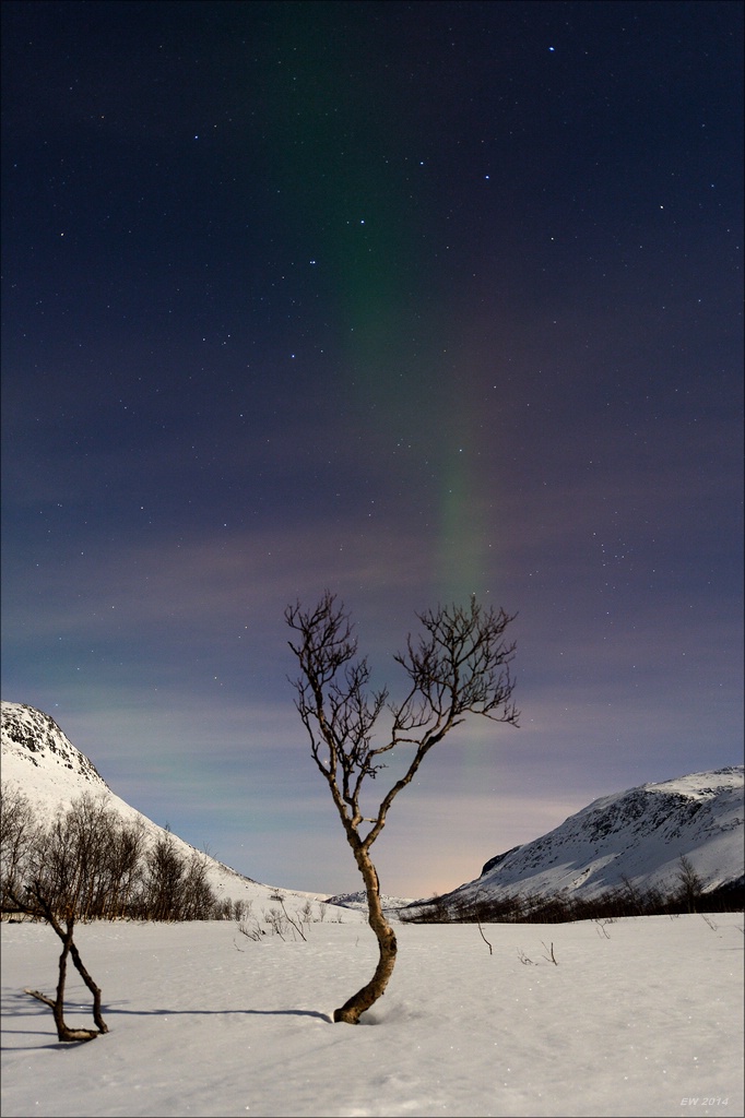 aacomp tromsö 20140211 2996