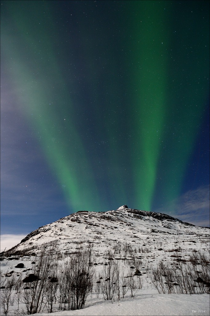 aacomp tromsö 20140211 3015