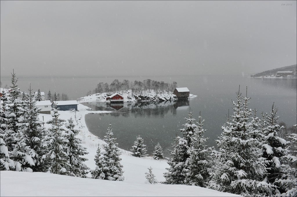 aacomp Tromsoe 20120225 2637