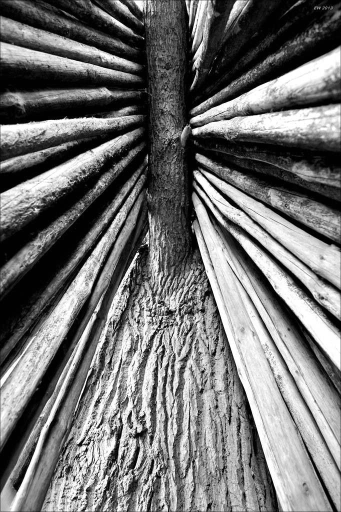 aacomp usedom 20131101 0054