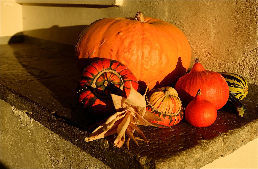 aacomp usedom 20131101 0336 01