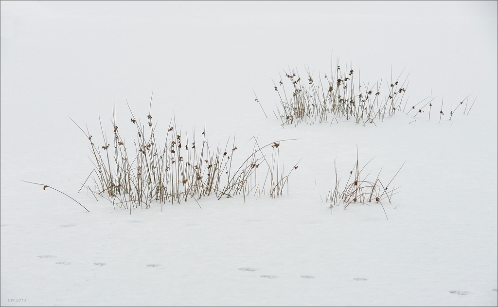 aacomp wittmoor 20130119 0014