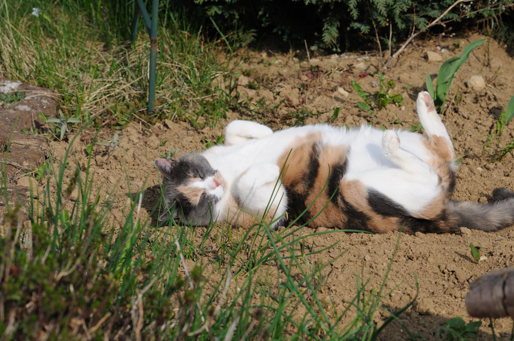 aah gehts mir gut