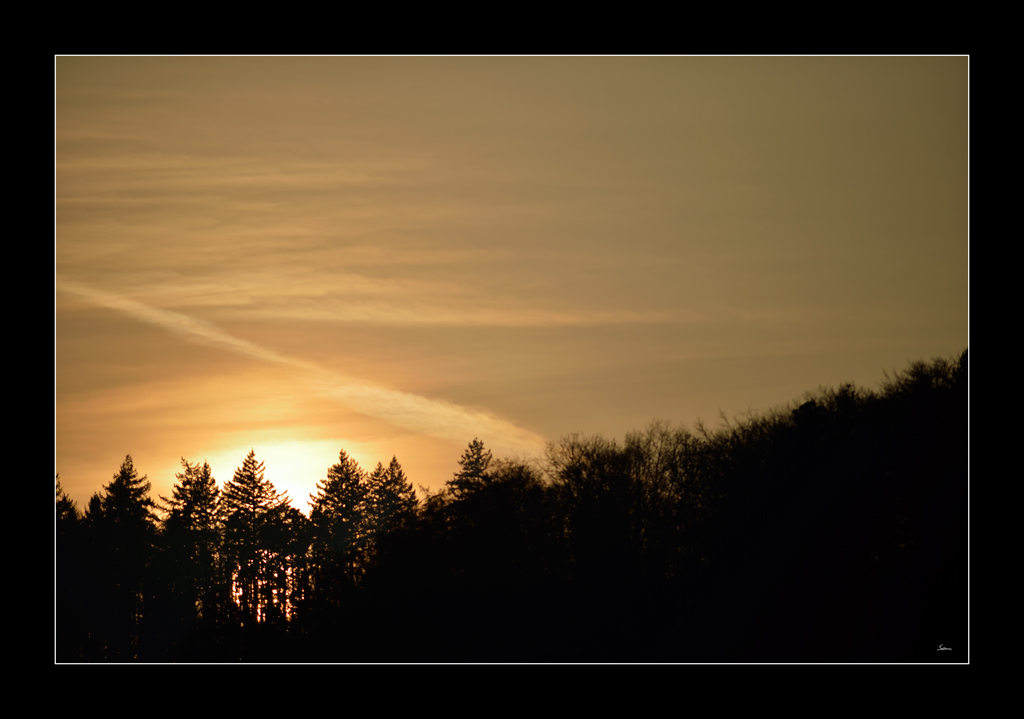 Abend PZ15280