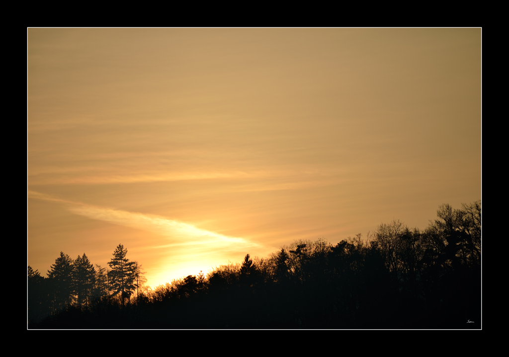 Abend PZ15285