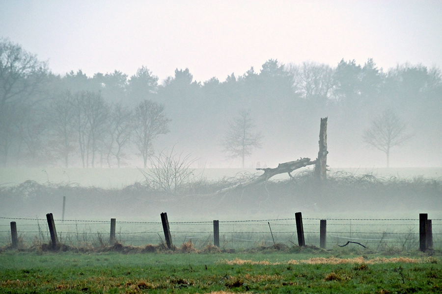 Abendnebel0001 1 klein