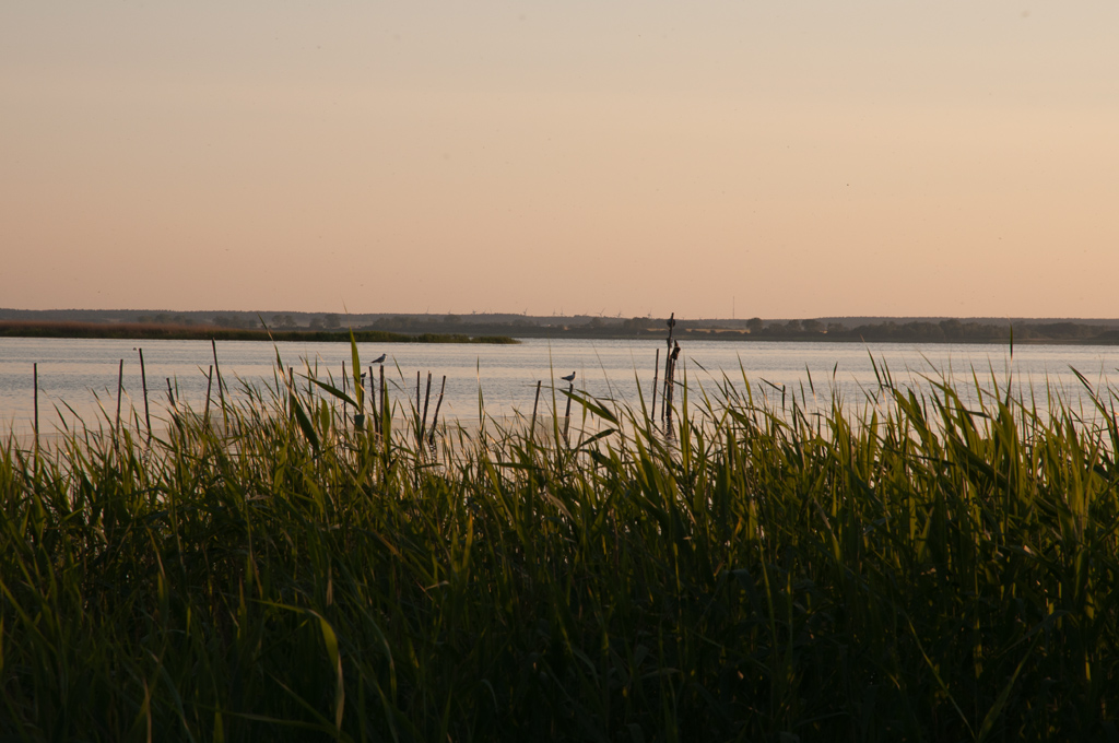 Abends am Achterwasser