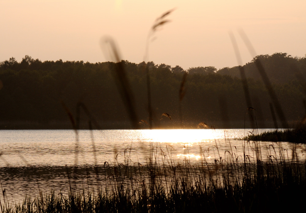 abendsonne kölpinsee JKK 7469
