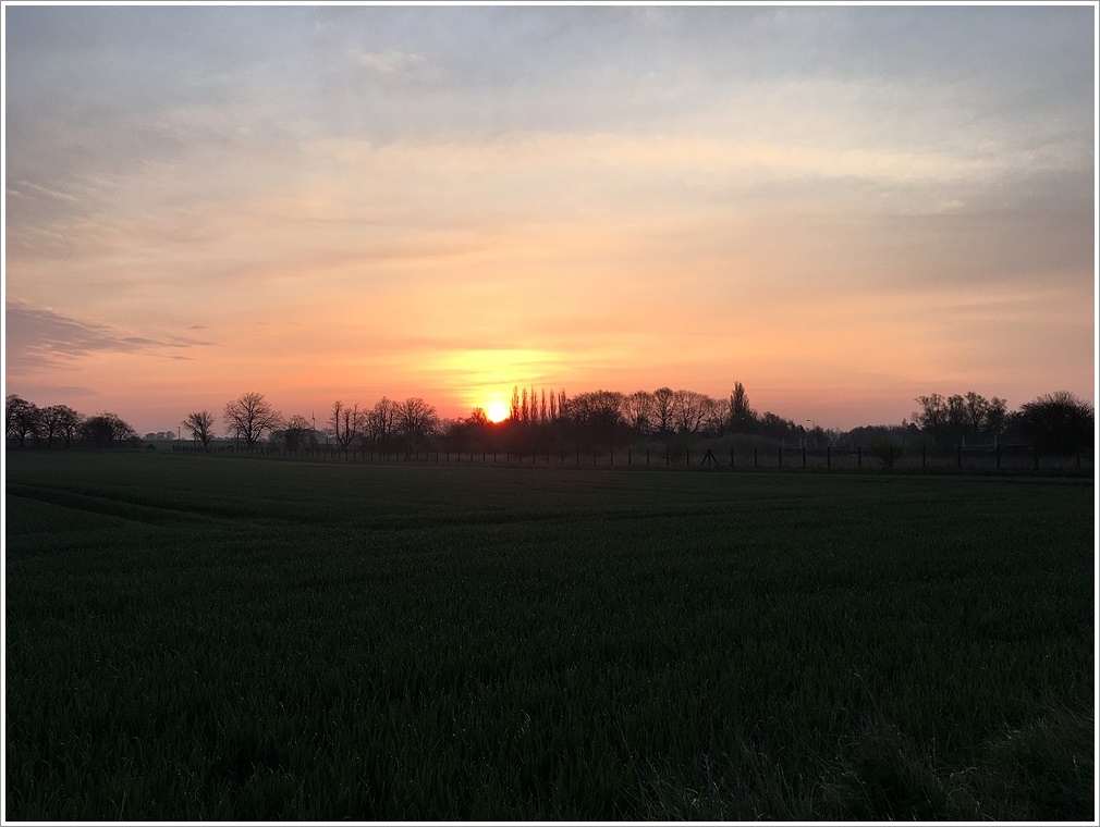 abendsonne