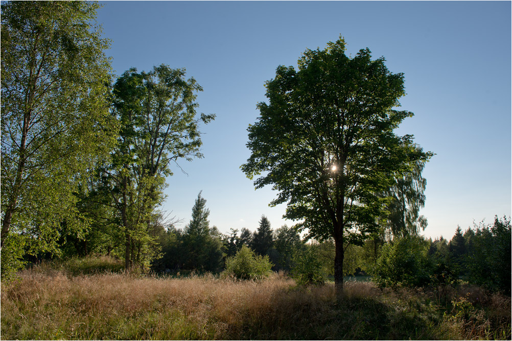 abendsonne2