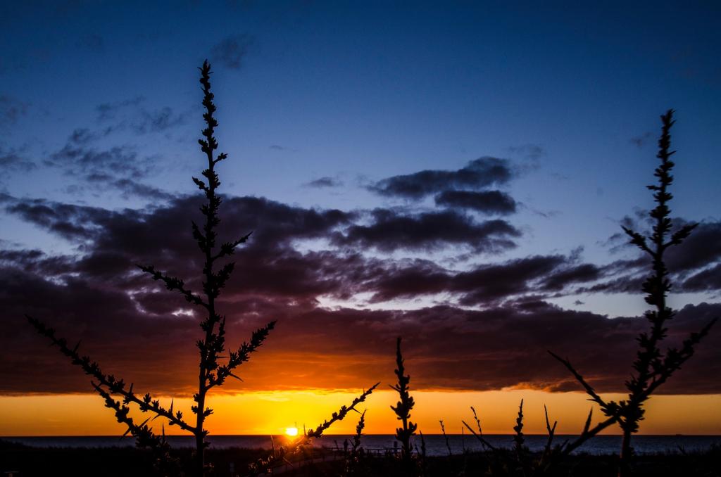 Abendstimmung über der Ostsee - der Blick von unserer Seeterrasse