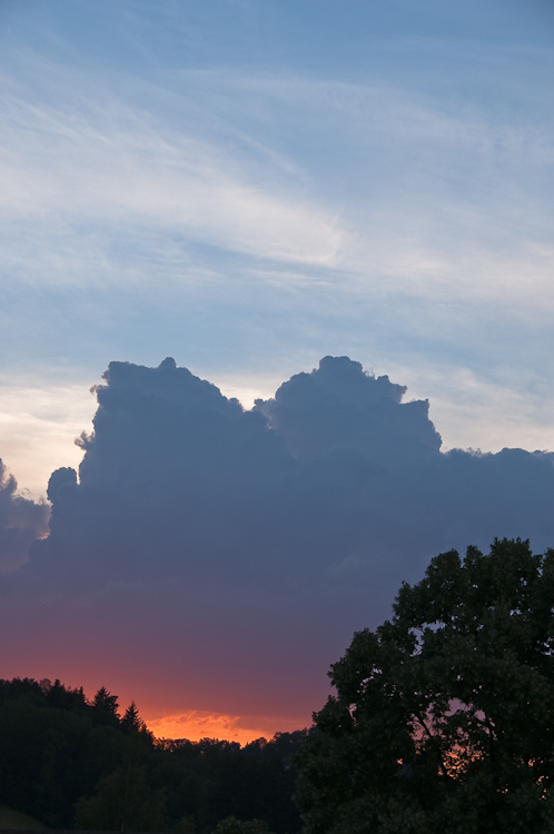 Abendstimmung 18. Juni 2009 2
