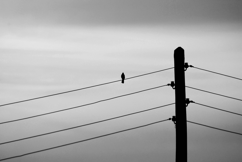 Abendstimmung II
