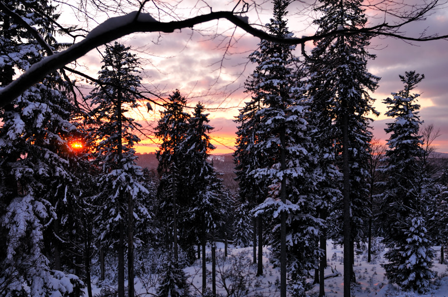 Abendstimmung