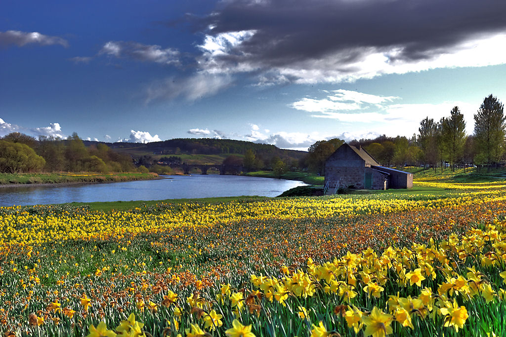 Aberdeen, schottischer Frühling - Fluss Dee-2009