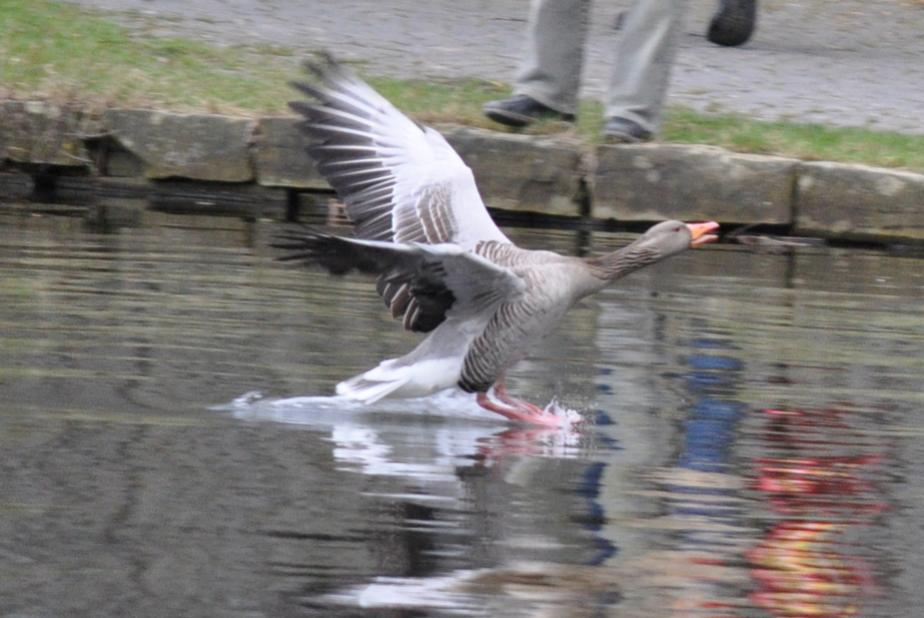 Abflug 1