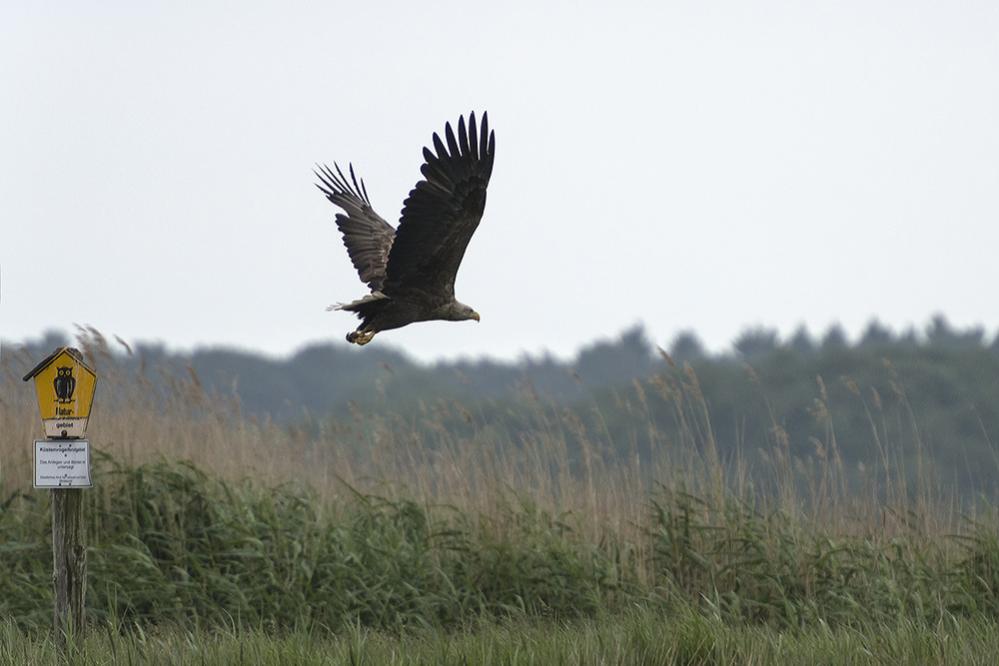 Abflug
