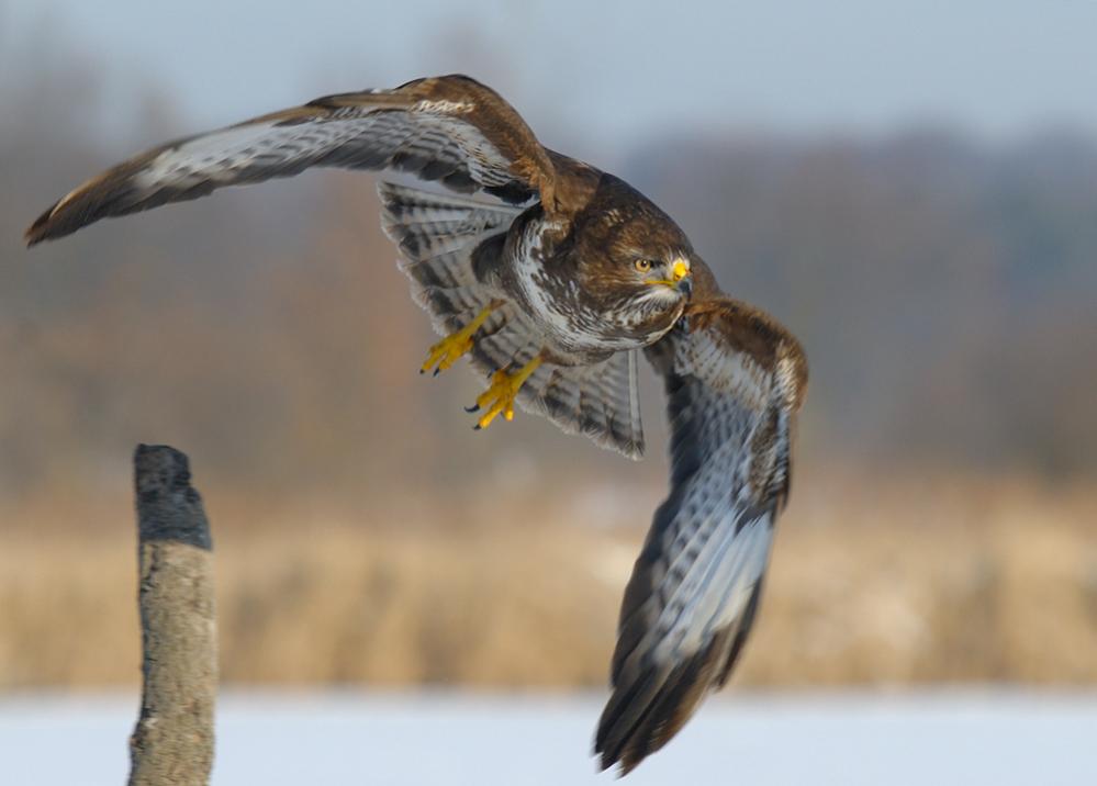 Abflug