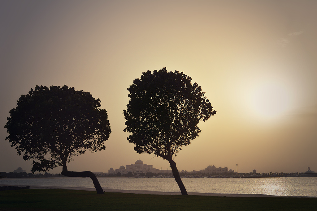Abu Dhabi 02 035b 1024