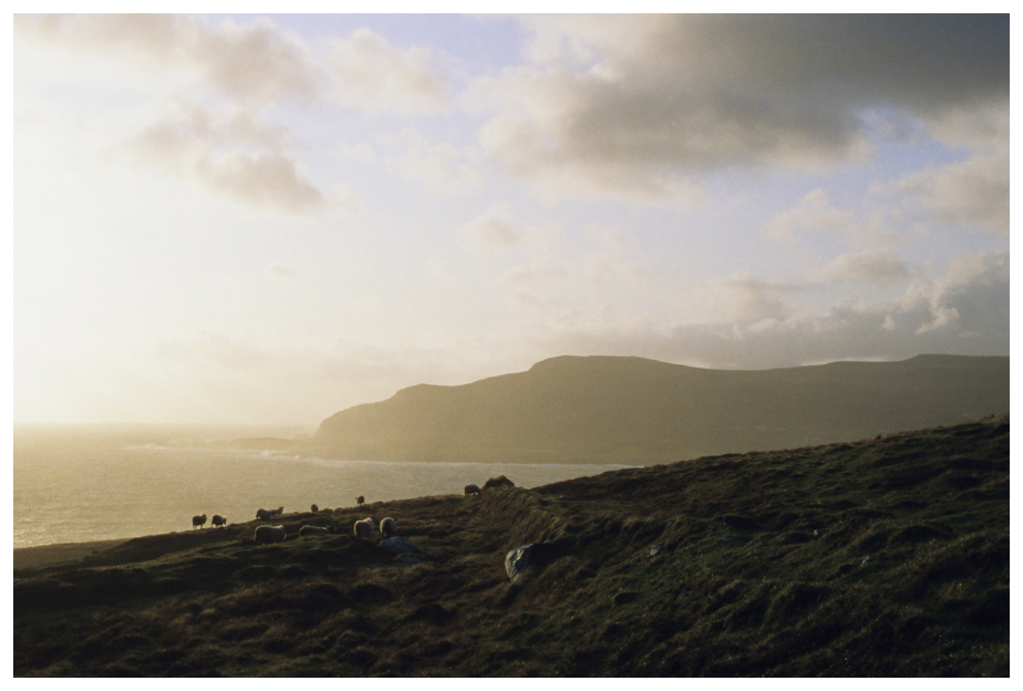 Achill10 FV