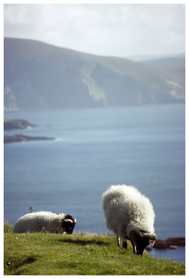 Achill2 KC