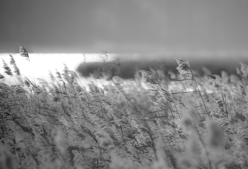achterwasser