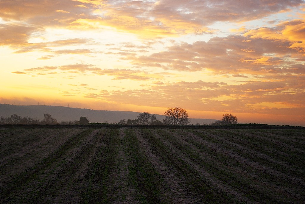 Acker + Odenwald