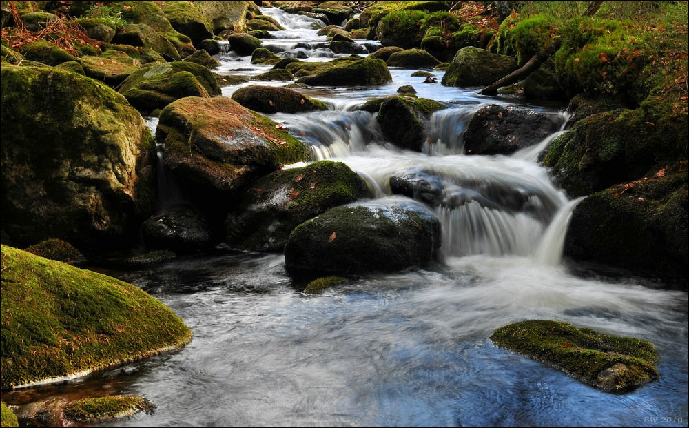 acomp Bayrischer Wald 0741