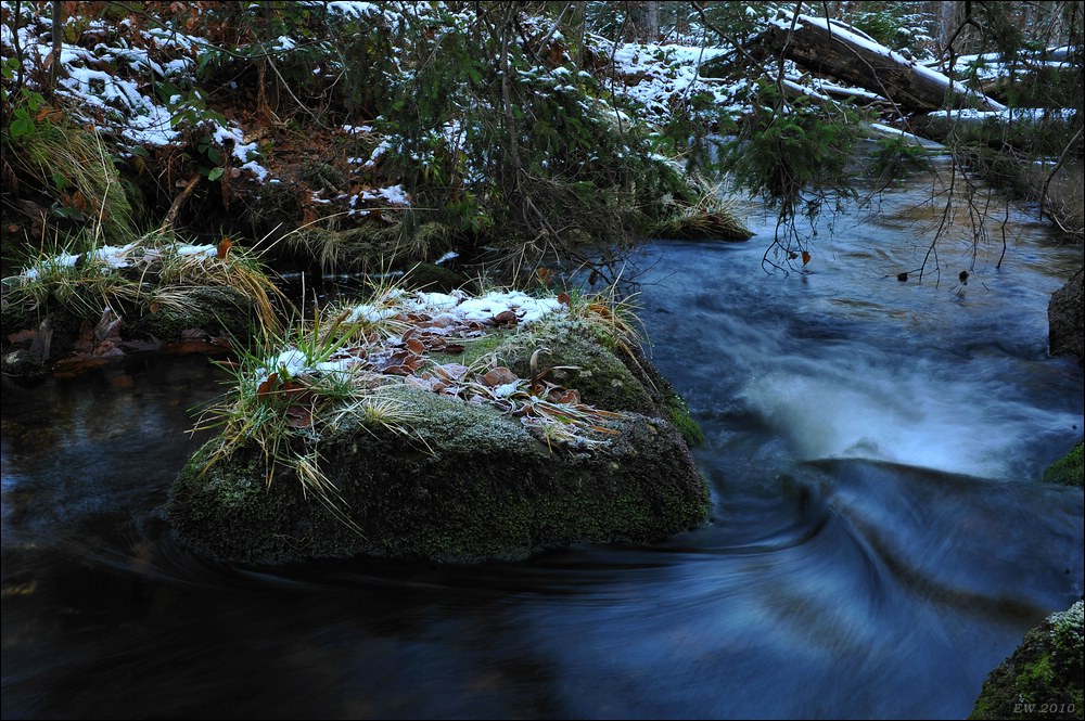 acomp Bayrischer Wald 0846