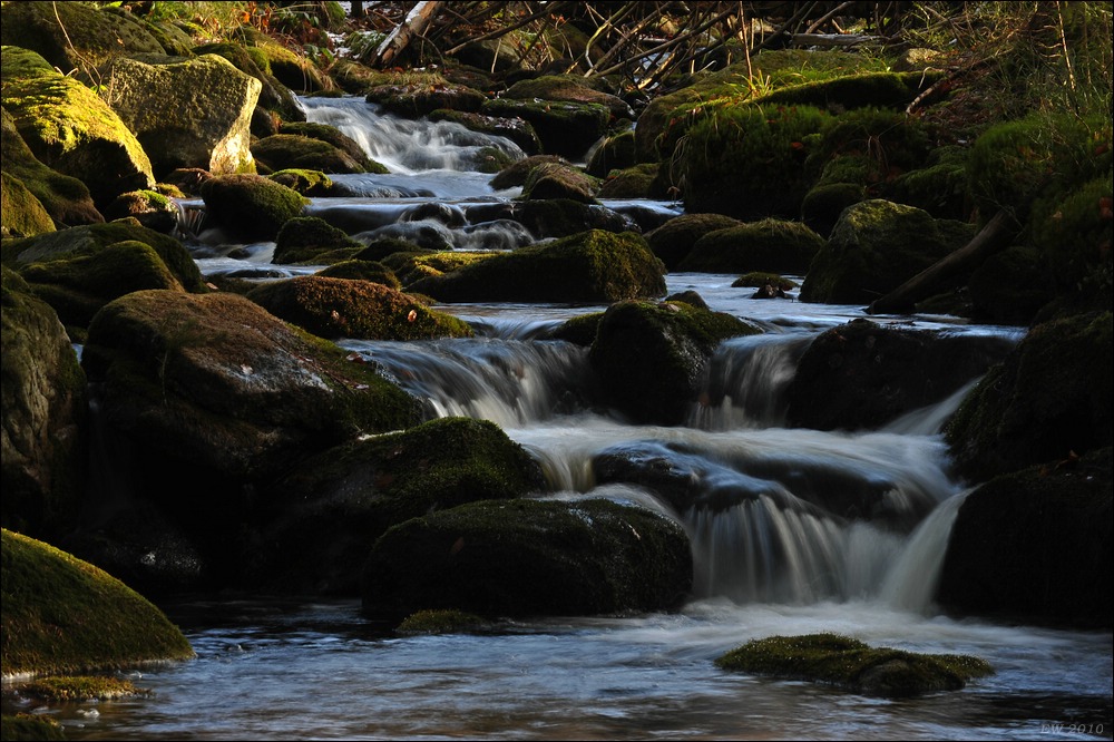 acomp Bayrischer Wald 0883