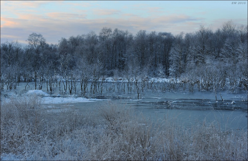acomp Hasenmoor 0639