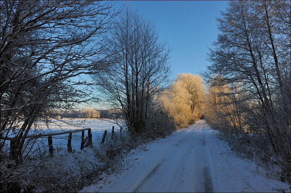 acomp Hasenmoor 0649