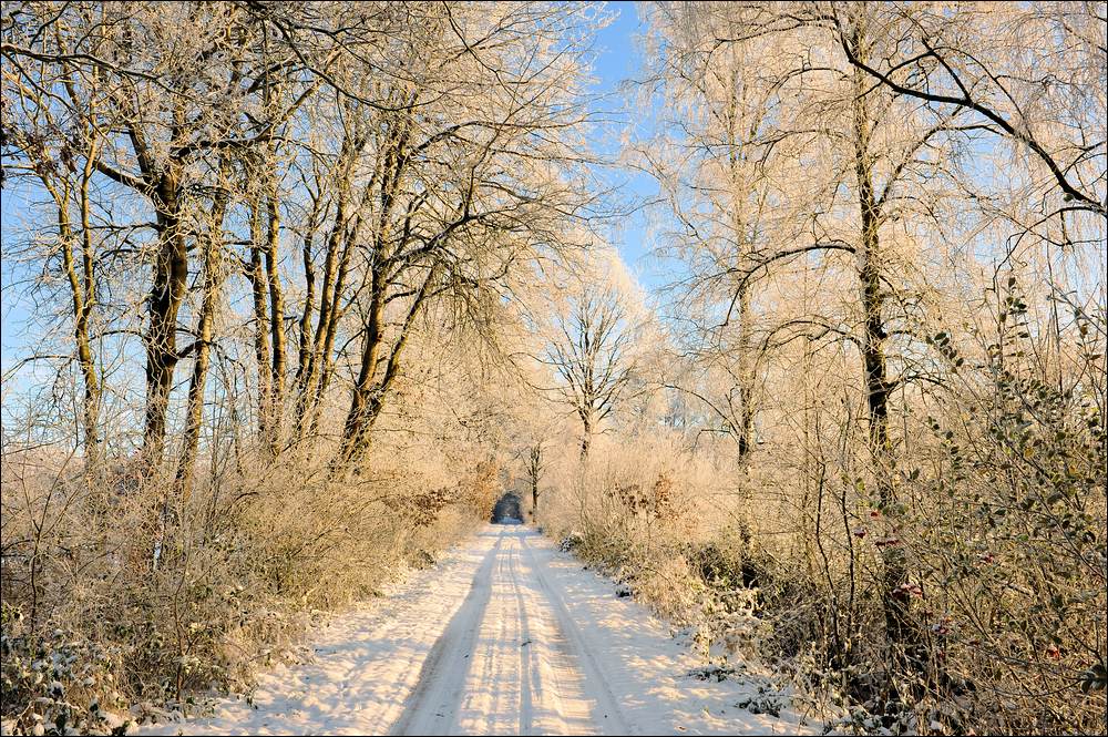 acomp Hasenmoor 0735