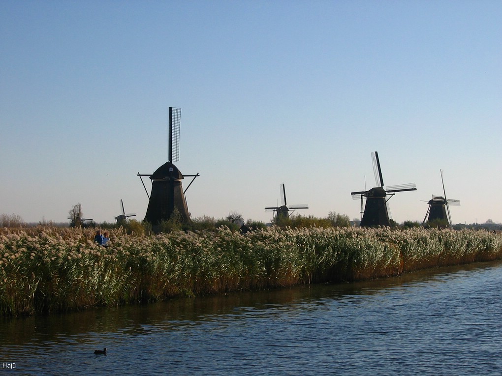 acomp IMG 5658