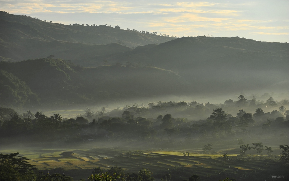 acomp indonesia 20110604 00142a