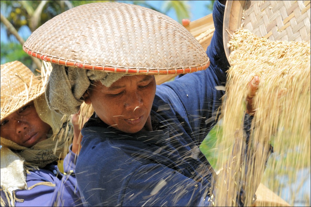 acomp indonesia 20110607 01826
