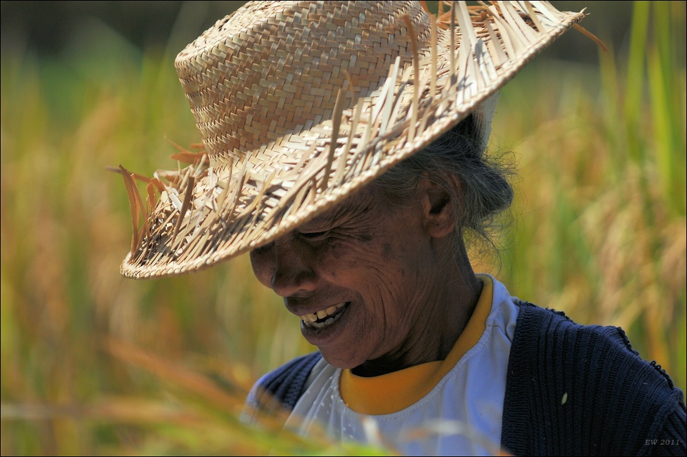 acomp indonesia 20110607 01953