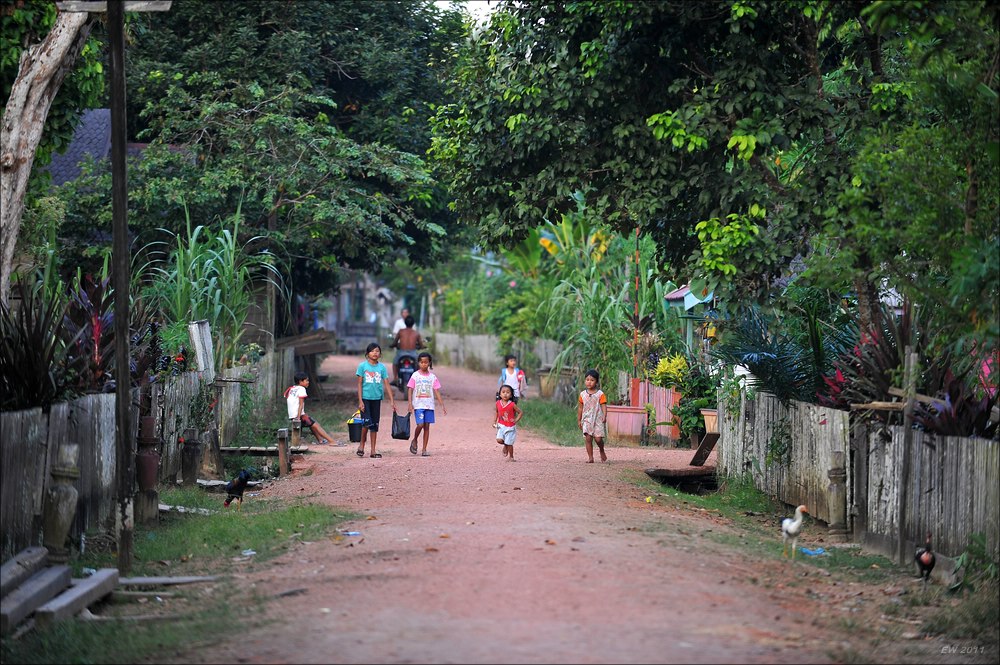 acomp indonesia 20110615 15567