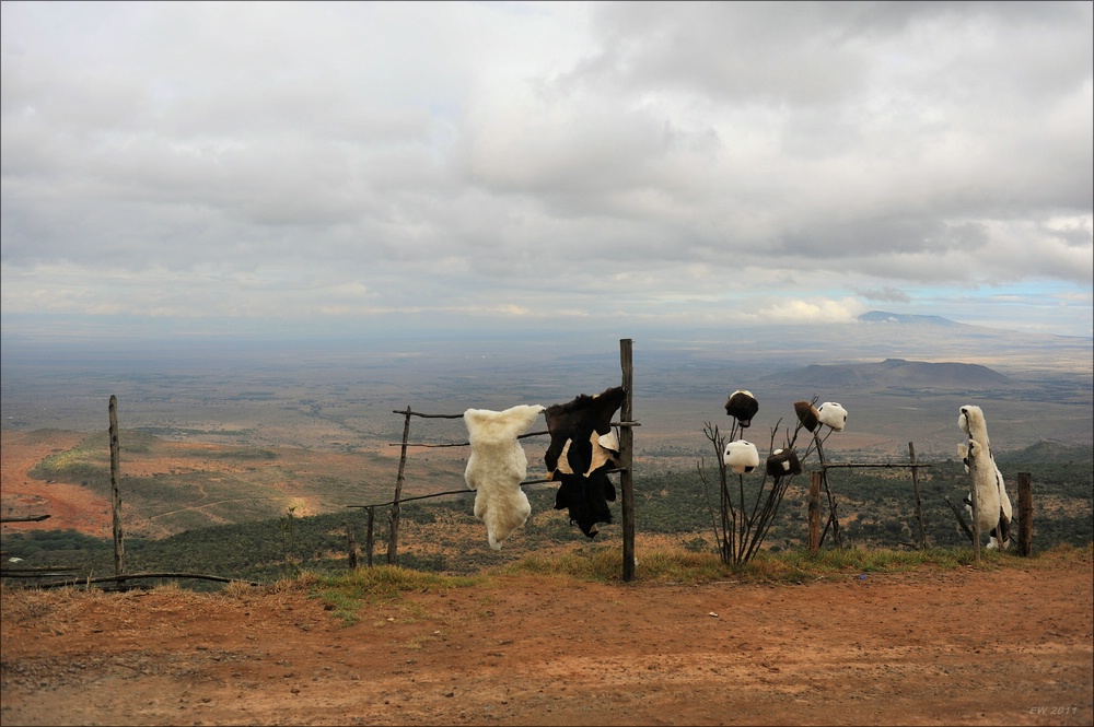 acomp Kenia 20111011 00033