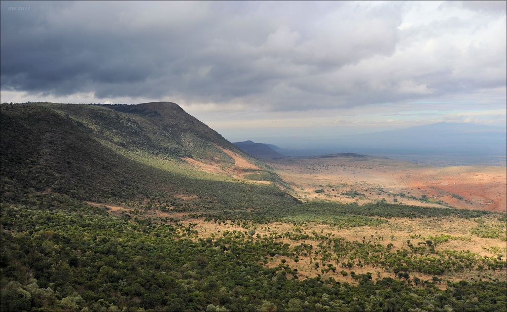 acomp Kenia 20111011 00065