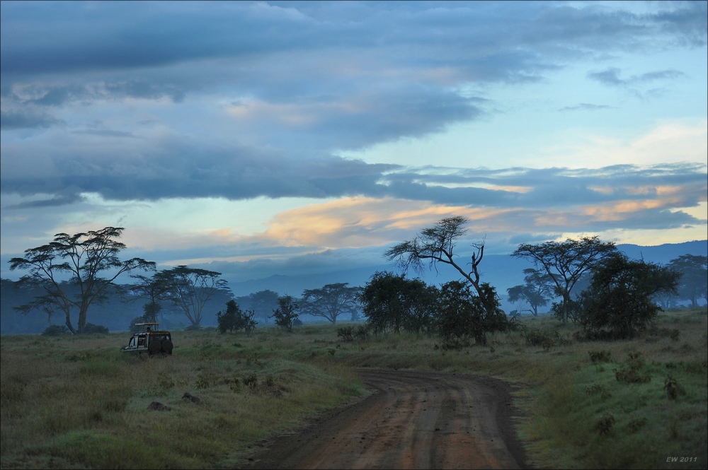 acomp Kenia 20111012 02051a