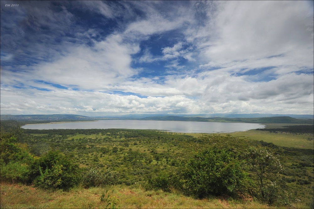 acomp Kenia 20111012 03031a