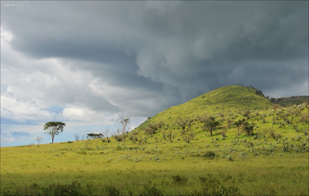 acomp Kenia 20111012 05194
