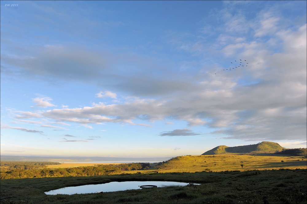 acomp Kenia 20111013 05358