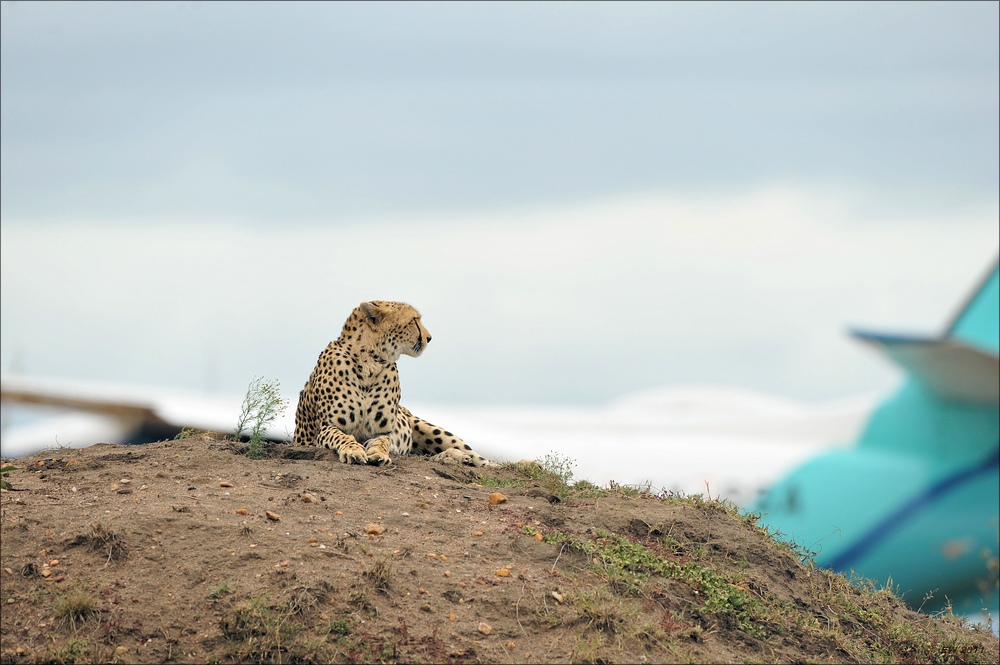 acomp Kenia 20111014 07256