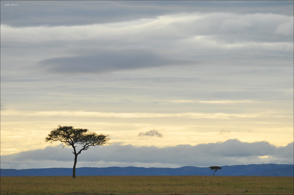acomp Kenia 20111014 07822