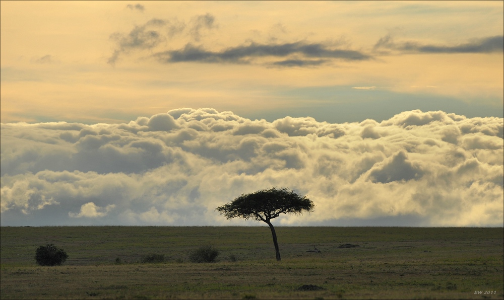 acomp Kenia 20111015 09359