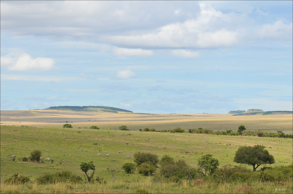 acomp Kenia 20111015 12096aa