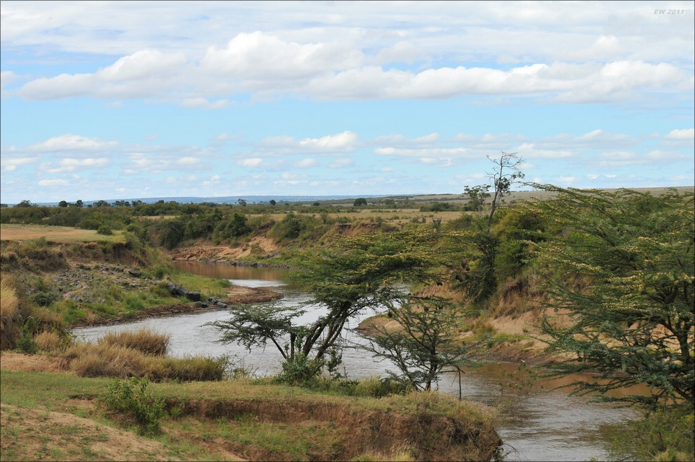acomp Kenia 20111015 12111a